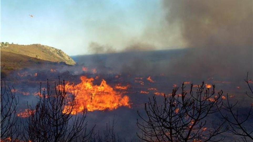 Πρόστιμο σε Τρικαλινό για φωτιά σε αγροτική έκταση 